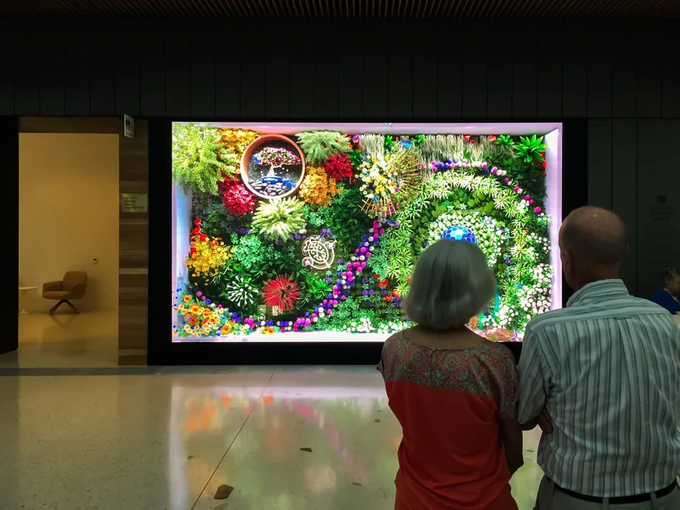 Visitors viewing colorful plant imagery on the Missouri Botanical Garden visitor-center LED wall